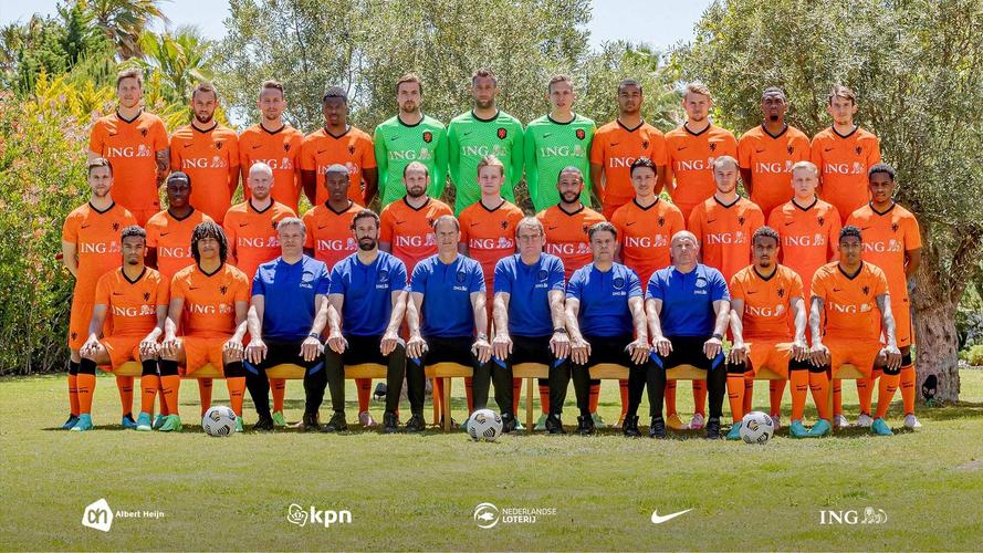 欧洲杯荷兰球星阵容（欧洲杯荷兰队球星）