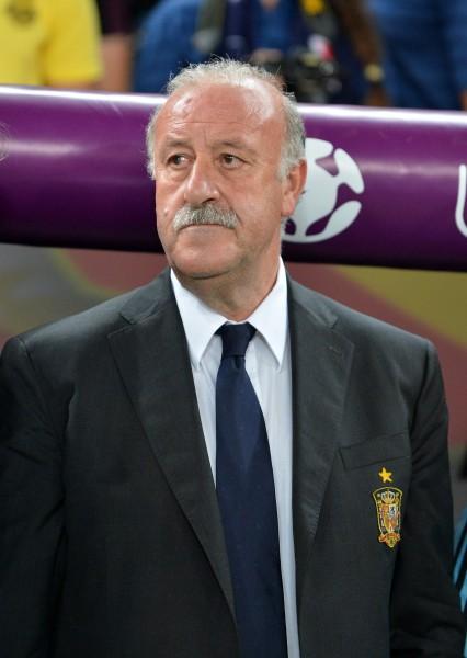 2004年欧洲杯教练（2004年欧洲杯足球）