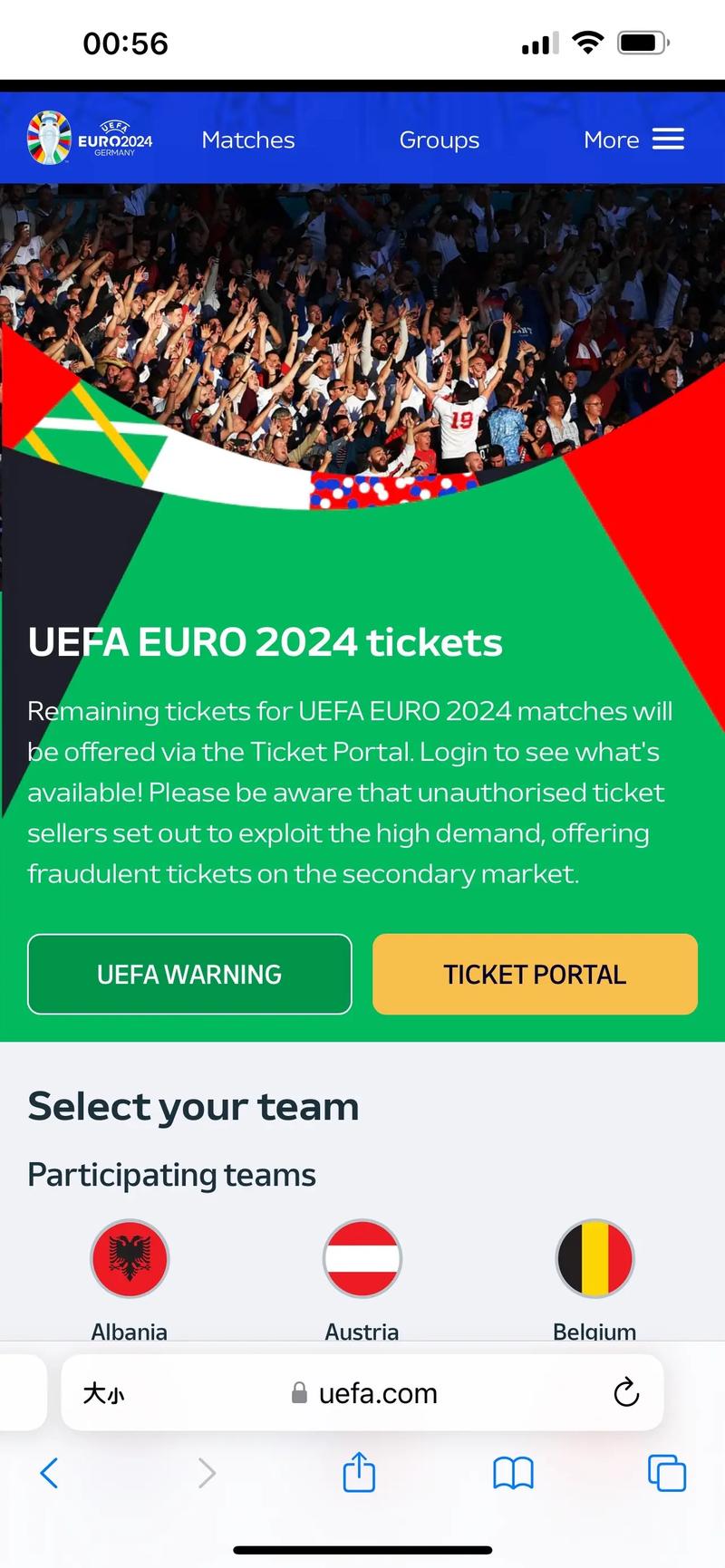 lv欧洲杯限量款（2021欧洲杯绿色球衣）