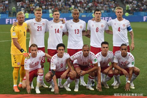 2000年欧洲杯丹麦（2000年欧洲杯丹麦阵容）
