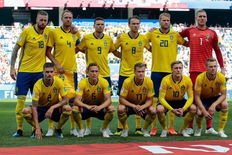 欧洲杯瑞典阵容图片（欧洲杯瑞典大名单公布）