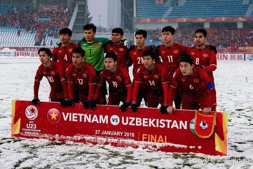 越南欧洲杯阵容（欧洲杯越南国旗）
