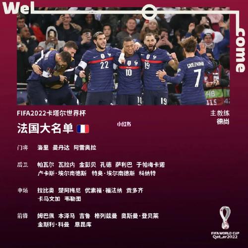 法国球员欧洲杯（欧洲杯法国队球员名单）
