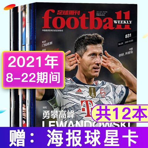2021年欧洲杯书刊（2021欧洲杯封面）