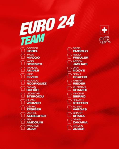瑞士队阵容欧洲杯（瑞士队欧洲杯最好成绩）